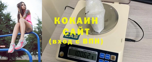 прущий лед Новозыбков