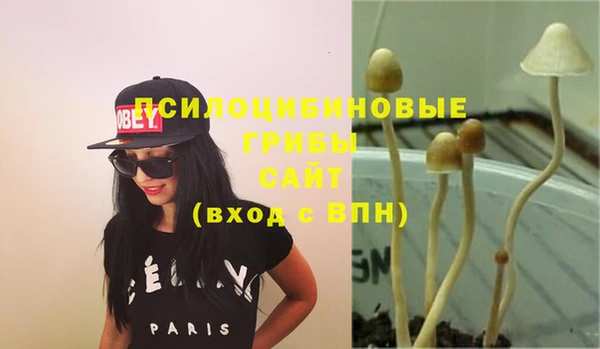 хмурый Нея