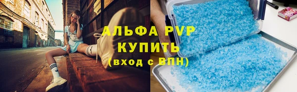 хмурый Нея